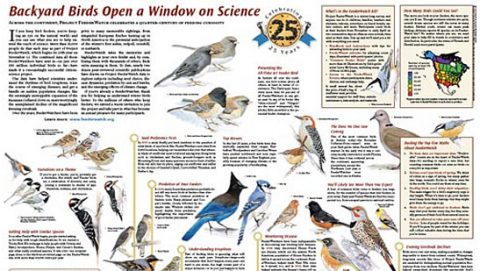Backyard Birds Open a Window on Science Through 25 Years of Project FeederWatch