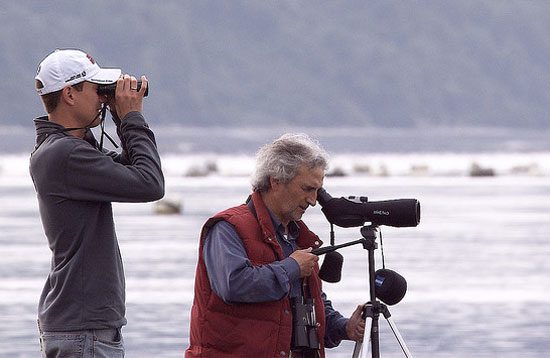 2 men watching birds with binoculars and a bird scope.