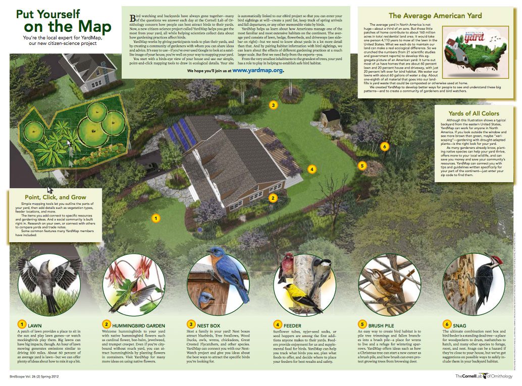 Put Yourself And Your Yard On The Map All About Birds All About Birds
