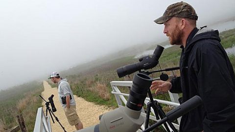 Anti-Petrels France Dewaghe And Hugh Powell Scan The Cape May Meadows For A Bonaparte's Gull.