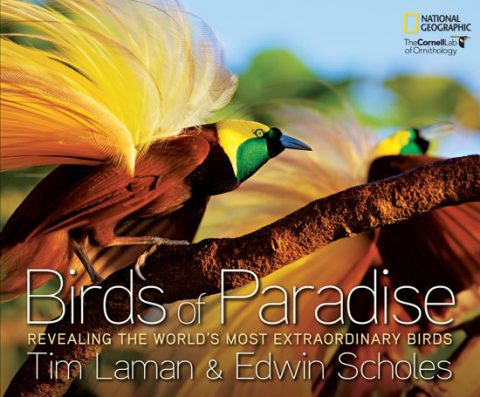 birds of paradise book by ed scholes and tim laman