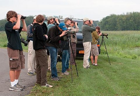 Young birders in the field