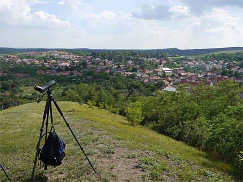 A hilltop in the village offers prime viewing for soaring raptors.