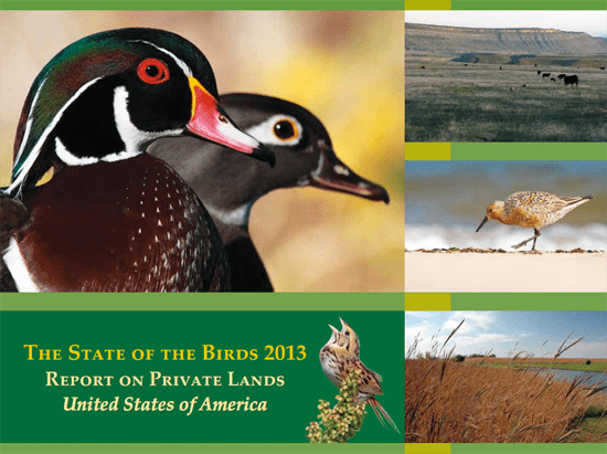 State of the Birds Report cover