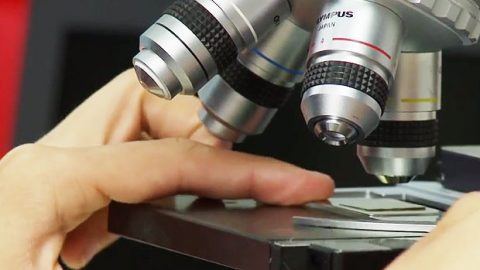 closeup of a microscope