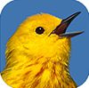 BirdTunes-full