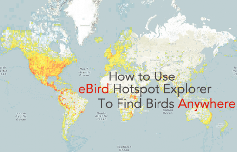 using eBird to find birding hotspots