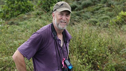 Russell Greenberg, photographed in the Galápagos. Photo courtesy Smithsonian Migratory Bird Center