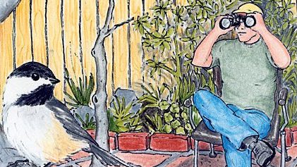 illustration by Jeff Sipple. catbird Seat, A Watcher of Chickadees
