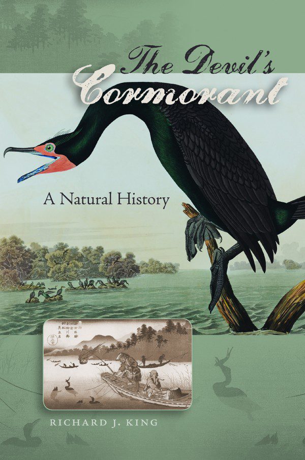 Book Review: The Devil's Cormorant, by Rich King | All About Birds All  About Birds