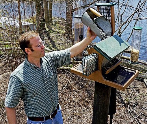 David Bonter is assistant director of Citizen Science and former FeederWatch project leader at the Cornell Lab of Ornithology. Above, he fills a feeder in the Lab’s bird garden. Photo by Gustave Axelson