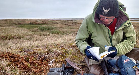 Researcher Denver Holt records data on the Alaskan tundra.