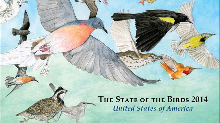 2014 State of the Birds report at the Smithsonian Institution.