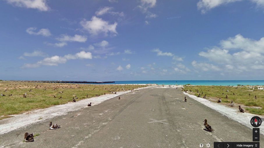 Google street view of Midway showing laysan albatross chicks