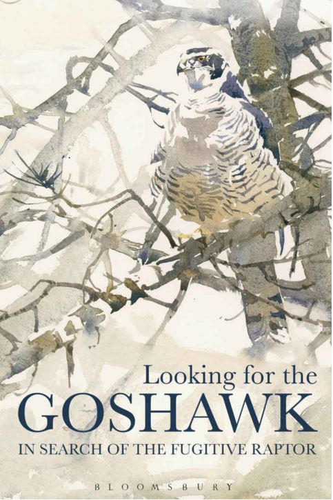 Looking for the goshawk, by Conor Mark Jameson