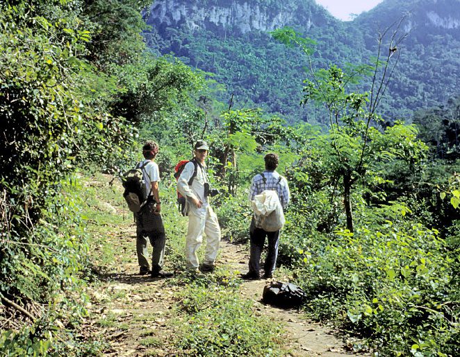 In the 1994 picture at left, Aaron Baker (left), the author (center), and Oscar Aguirre (Baker’s Guatemalan assistant) prepare to climb the Macal River eyrie cliff, which looms in the background. Photo by RObert B. Berry.