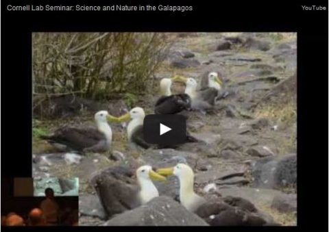 nature and science in the Galapogos