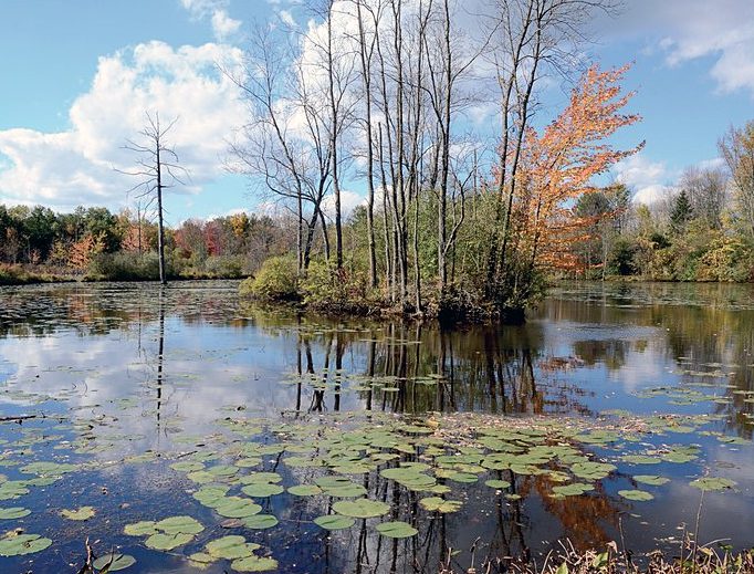 Throughout the seasons, visitors and staff enjoy the beautiful views of Sapsucker Woods Pond outside the Johnson Center for Birds and Biodiversity. At right, the patio outside the building offers an ideal place for the staff to test spotting scopes, overlooking the pond. Photo by Tim Gallagher