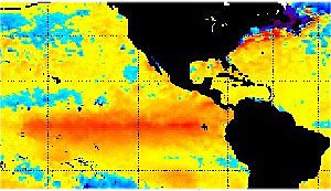 Orange highlights the above-normal warmth of equatorial surface waters in the Pacific that are driving the current El Niño. Image courtesy of NOAA.