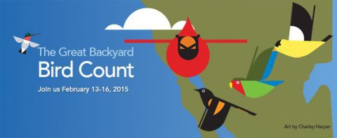 Join us for the 2015 Great Backyard Bird Count