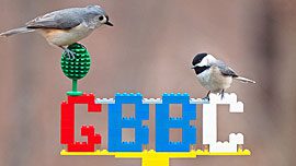 Tufted Titmouse and chickadee sit on a GBBC sign. Photo by Gary Mueller, Missouri, 2015 GBBC.