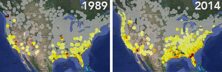 yellow-rumped warbler maps from Project Feederwatch data.