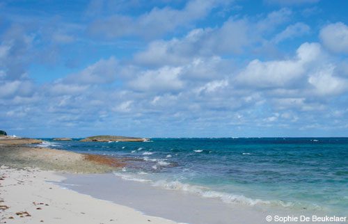 Pristine white sand beaches are in large supply on Abaco.