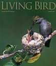Living Bird, spring 2009