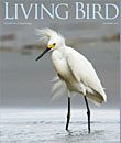 Living Bird, storing 2010