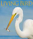Living Bird, spring 2010