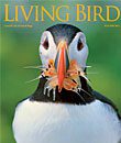 Living Bird, storing 2011