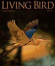 Living Bird, spring 2011