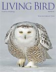 Living Bird, winter 2012