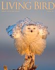Living Bird, spring 2014