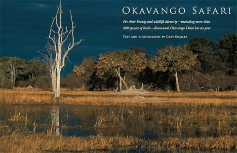 On Safari in the Okavango Delta of Botswana