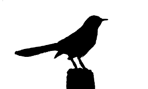 mockingbird silhouette