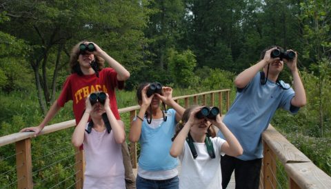 Resources for Afterschool Programs to Use Birds for Teaching Science