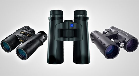 best budget binoculars