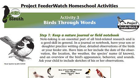 Lesson Ideas: Homeschooler's Guide to Project FeederWatch