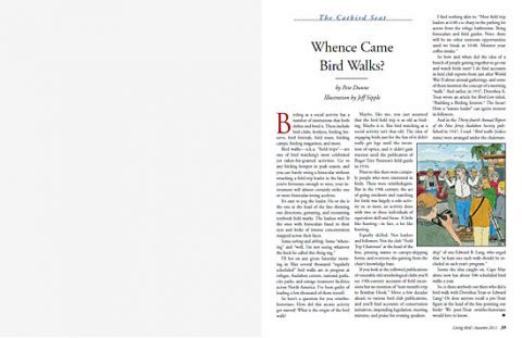 How did guided bird walks get started?