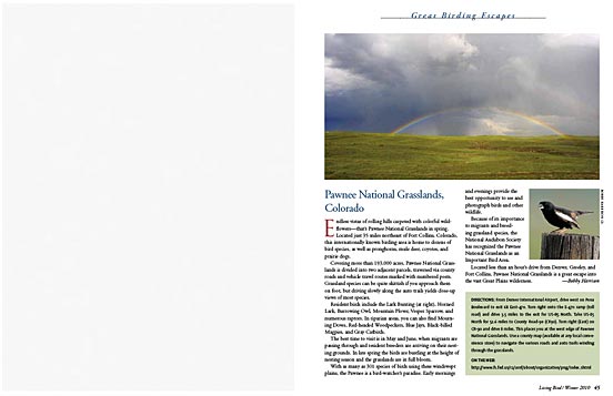 Birding Escapes: Pawnee National Grasslands, Colorado