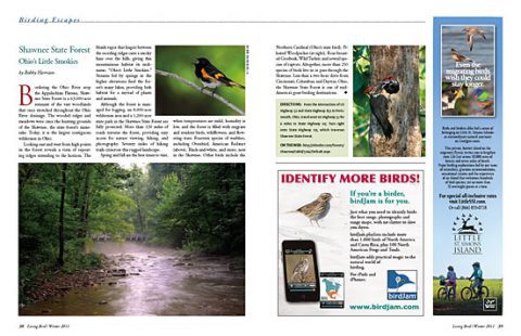 Birding Escapes: Shawnee State Forest: Ohio