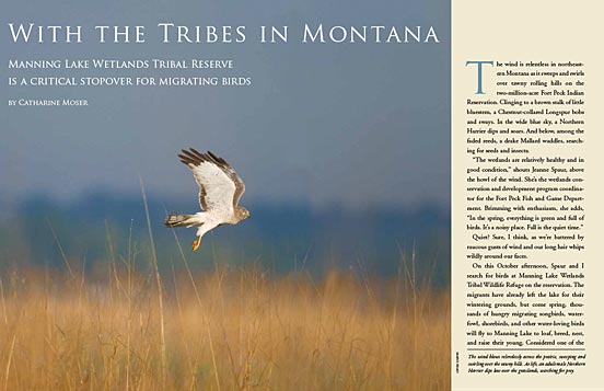 With the Tribes in Montana: Manning Lake Wetlands Tribal Wildlife Refuge