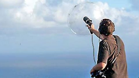 Our Man in Mauritius Recording Sounds for the Macaulay Library