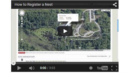NestWatch Data Entry Tutorial Videos