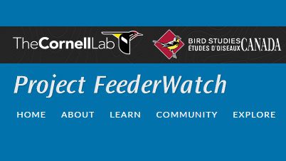 Project FeederWatch: Join, Renew, or Donate