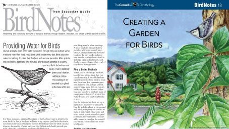 Project FeederWatch-Backyard Bird Feeding Resources