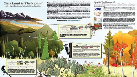 This Land is Their Land: Birds on Public Lands from the State of the Birds Report