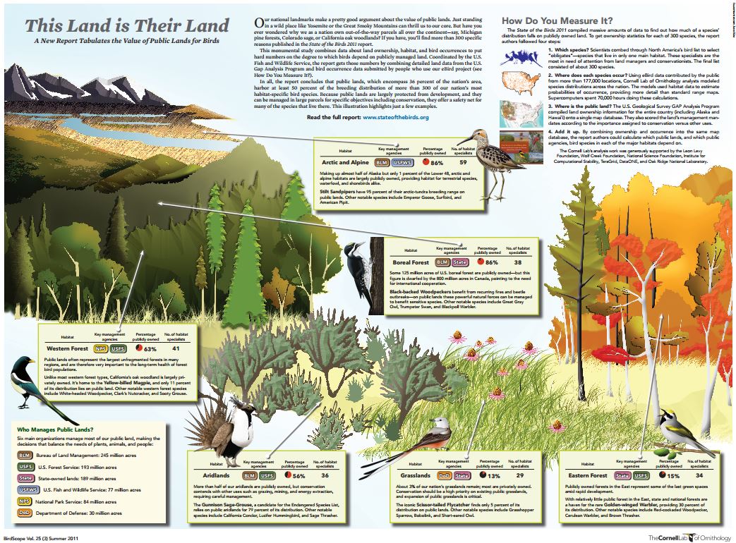 Download a PDF of the Birds on Public Lands poster