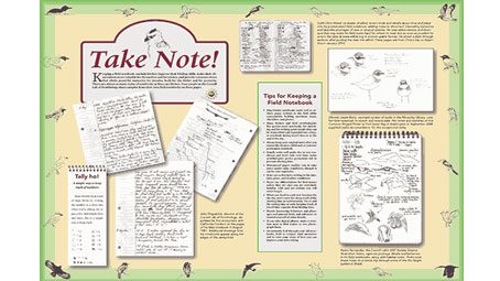 Take Note! Tips for Keeping a Field Notebook